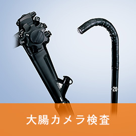 大腸カメラ検査