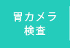 胃カメラ検査