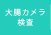 大腸カメラ検査